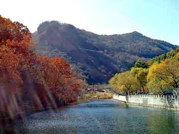 新澳天天开奖资料大全旅游团，火花塞多久换一次